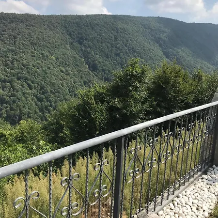 Villa Holiday Dibektas - Isitmali Havuz Sapanca