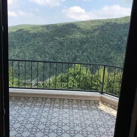 Holiday Dibektas - Isitmali Havuz Villa *