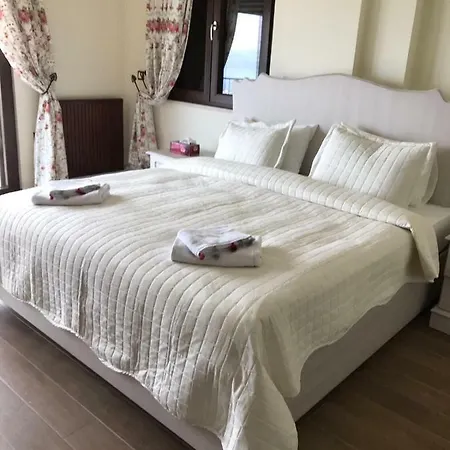 Holiday Dibektas - Isitmali Havuz Villa Sapanca