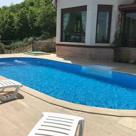 Villa Holiday Dibektas - Isitmali Havuz *